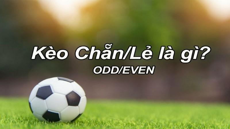 Tính tiền cược trong kèo chẵn lẻ